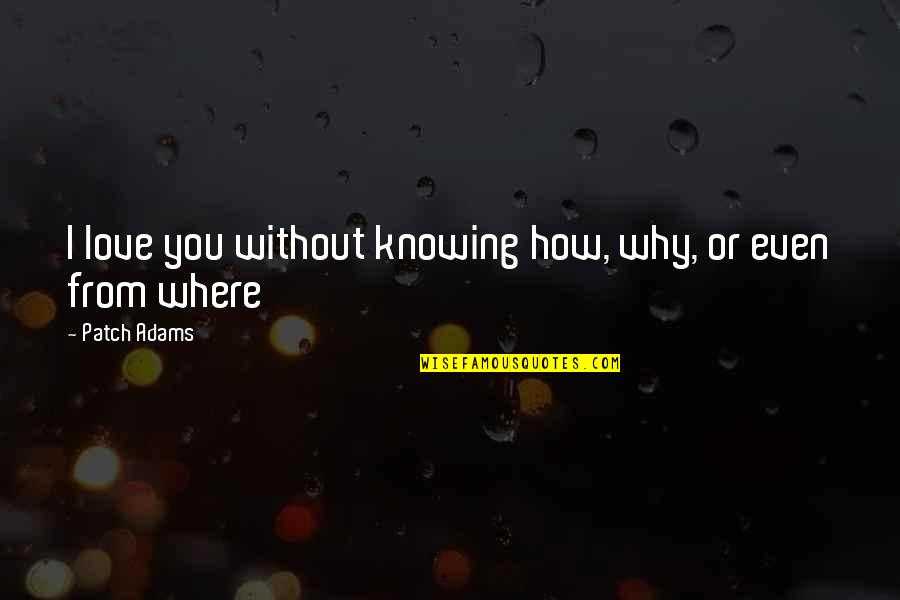 Coexistir Significado Quotes By Patch Adams: I love you without knowing how, why, or Coexistir Significado Quotes By Patch Adams: I love you without knowing how, why, or