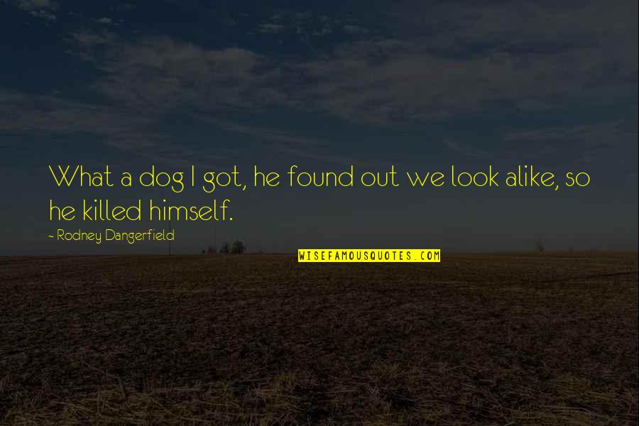 Coffee Bean Funny Quotes By Rodney Dangerfield: What a dog I got, he found out Coffee Bean Funny Quotes By Rodney Dangerfield: What a dog I got, he found out