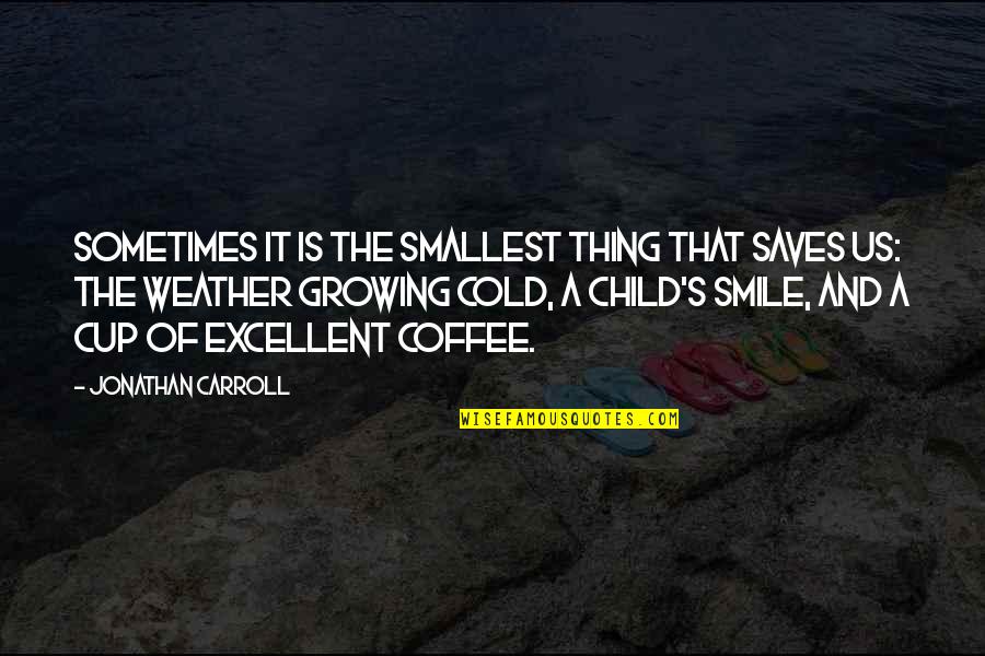 Coffee Cup Quotes By Jonathan Carroll: Sometimes it is the smallest thing that saves