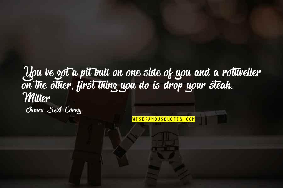 Coffee In Hand Quotes By James S.A. Corey: You've got a pit bull on one side Coffee In Hand Quotes By James S.A. Corey: You've got a pit bull on one side