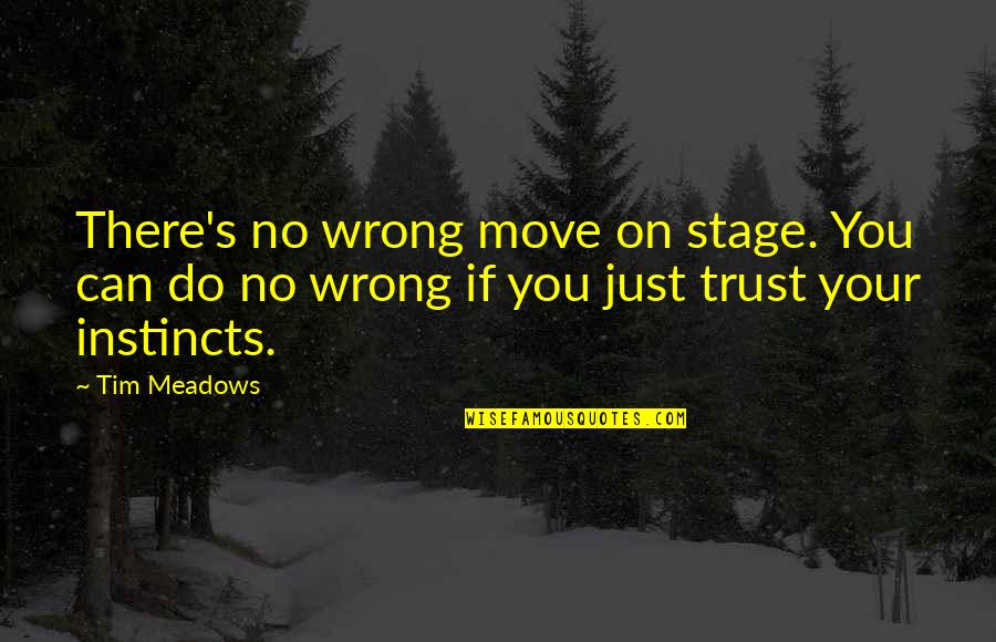 Coffee Stress Reliever Quotes By Tim Meadows: There's no wrong move on stage. You can