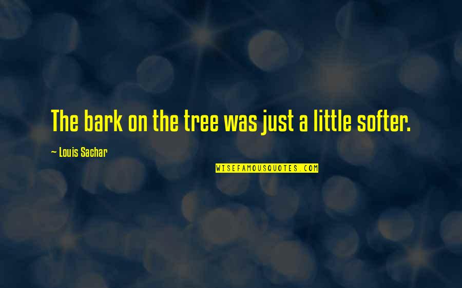 Cogently In A Sentence Quotes By Louis Sachar: The bark on the tree was just a