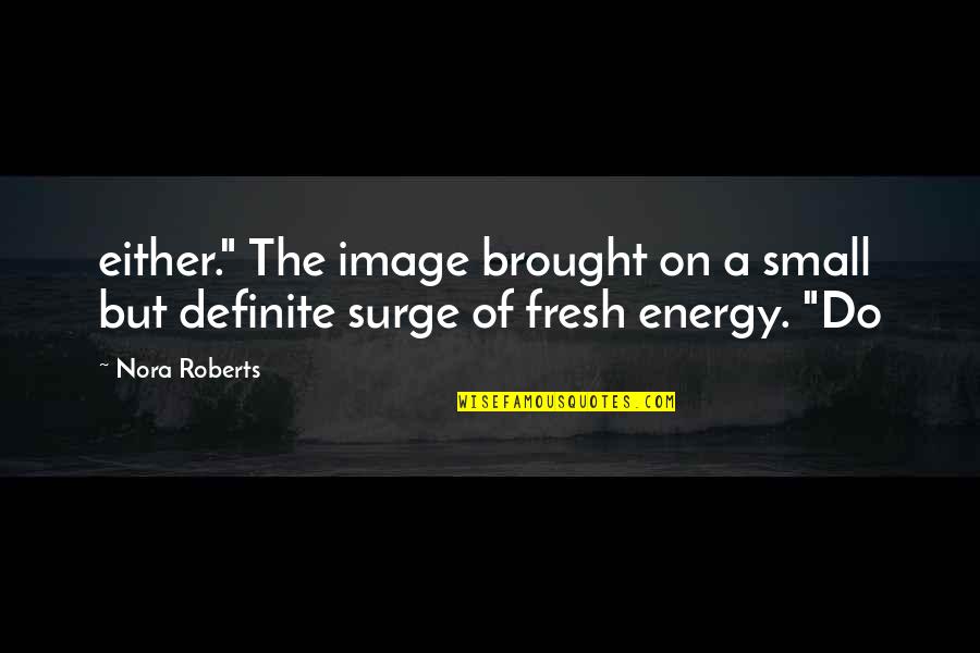 Coggan Family Aquatic Complex Quotes By Nora Roberts: either." The image brought on a small but
