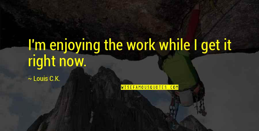 Cognitions Psychological Quotes By Louis C.K.: I'm enjoying the work while I get it Cognitions Psychological Quotes By Louis C.K.: I'm enjoying the work while I get it