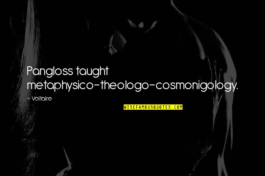 Cognizant Company Quotes By Voltaire: Pangloss taught metaphysico-theologo-cosmonigology.