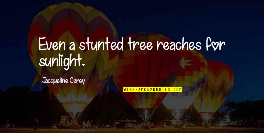 Cohesiveness Quotes By Jacqueline Carey: Even a stunted tree reaches for sunlight.