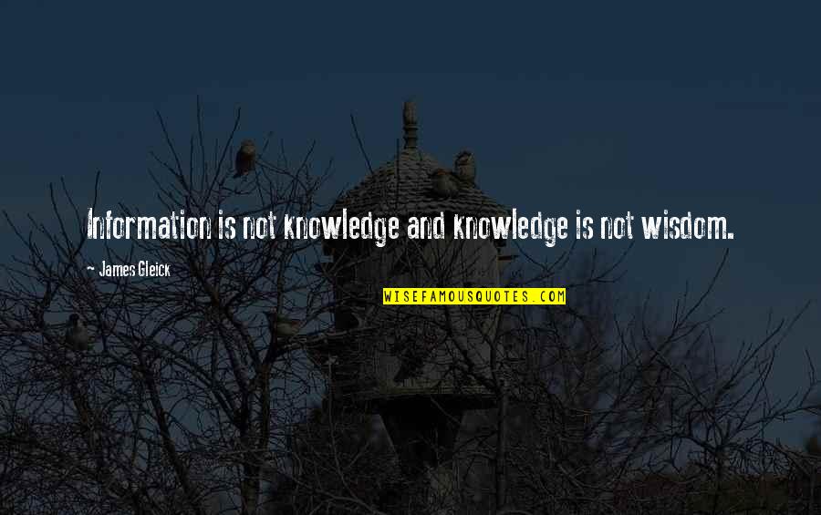 Cohoon Will Quotes By James Gleick: Information is not knowledge and knowledge is not