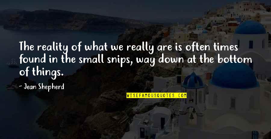 Coil Quotes By Jean Shepherd: The reality of what we really are is Coil Quotes By Jean Shepherd: The reality of what we really are is