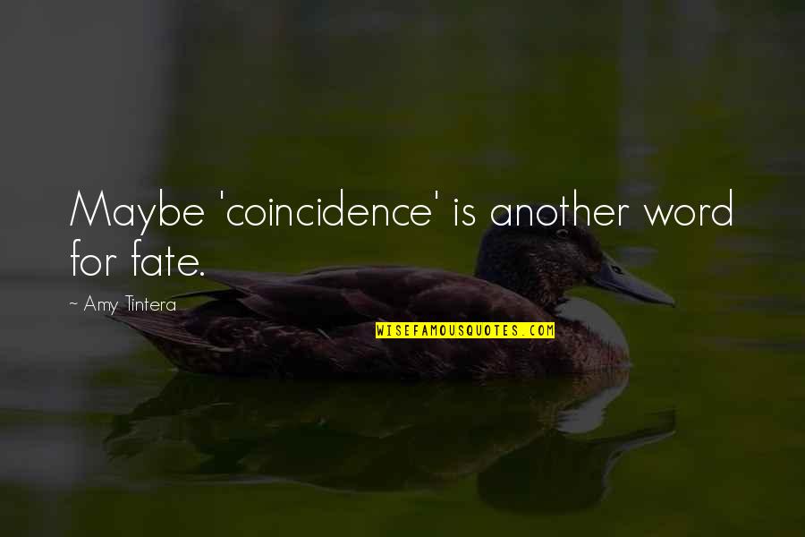 Coincidence Or Fate Quotes By Amy Tintera: Maybe 'coincidence' is another word for fate. Coincidence Or Fate Quotes By Amy Tintera: Maybe 'coincidence' is another word for fate.