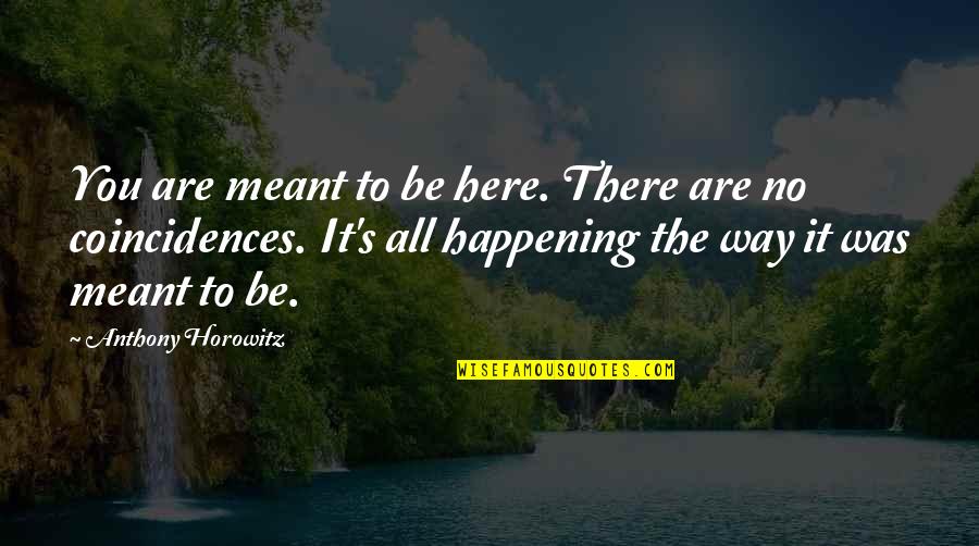 Coincidences Quotes By Anthony Horowitz: You are meant to be here. There are