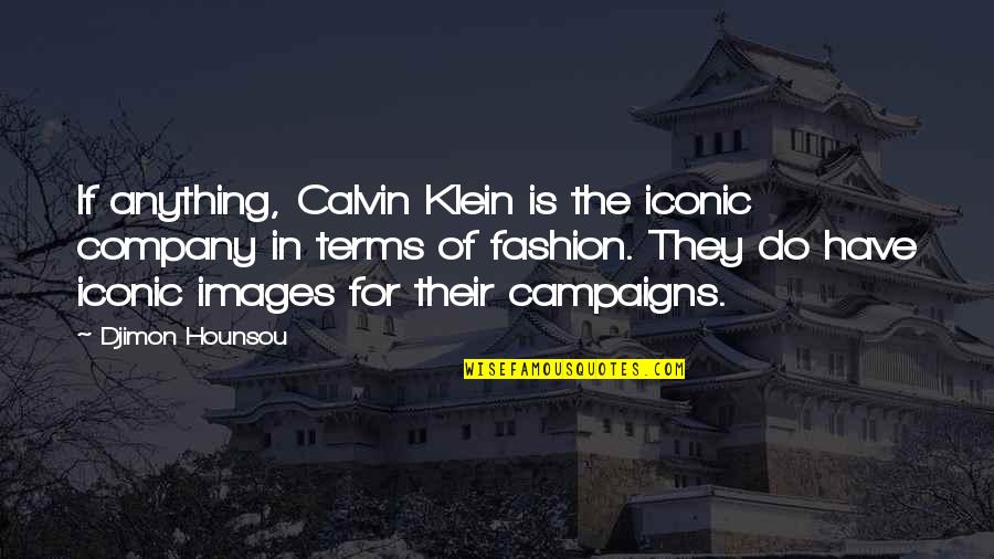 Coition Of A Hemisected Quotes By Djimon Hounsou: If anything, Calvin Klein is the iconic company