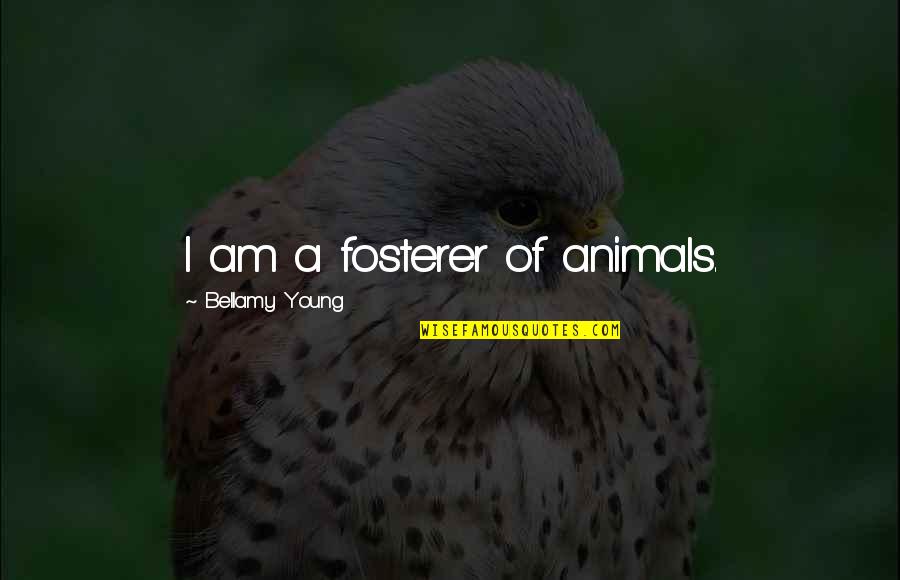 Cojan O Quotes By Bellamy Young: I am a fosterer of animals. Cojan O Quotes By Bellamy Young: I am a fosterer of animals.