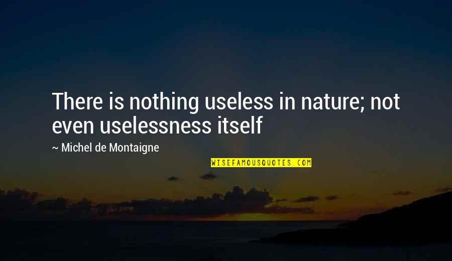 Coke And Pepsi Quotes By Michel De Montaigne: There is nothing useless in nature; not even