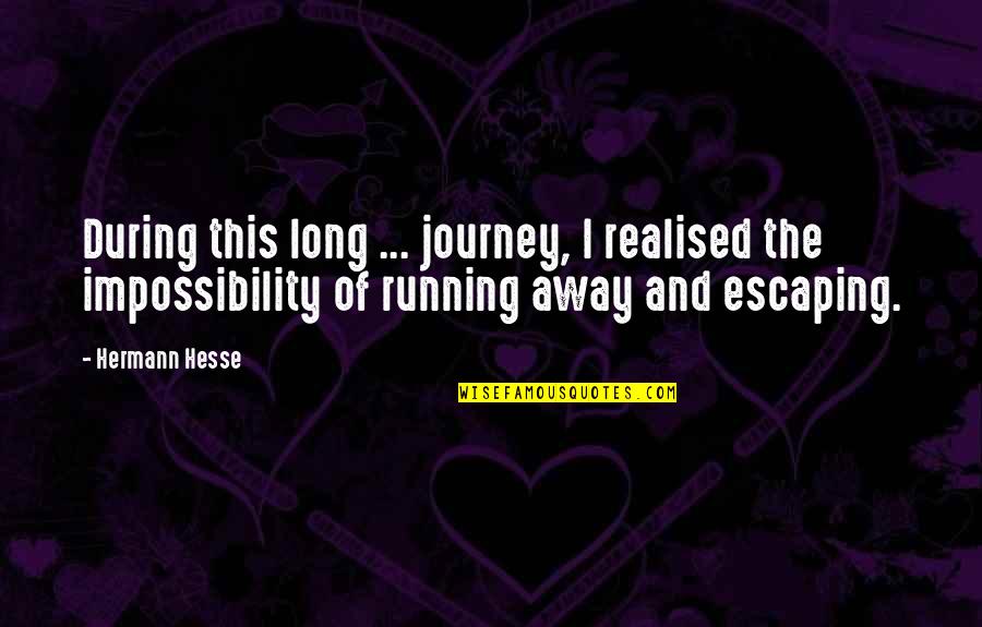 Coked Out Quotes By Hermann Hesse: During this long ... journey, I realised the