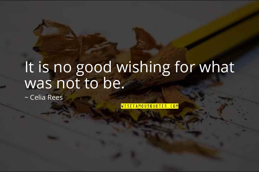 Colamartino Dan Quotes By Celia Rees: It is no good wishing for what was Colamartino Dan Quotes By Celia Rees: It is no good wishing for what was