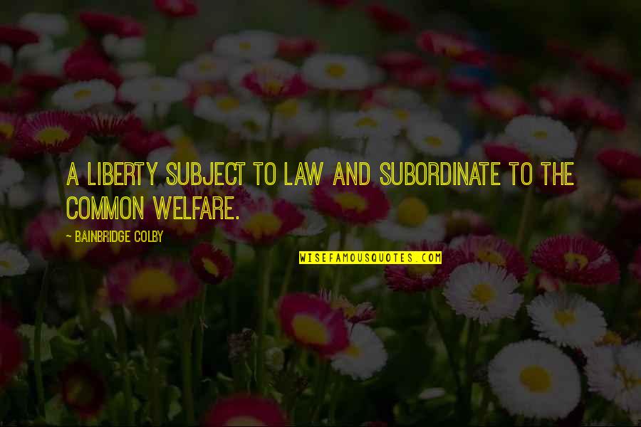 Colby Quotes By Bainbridge Colby: A liberty subject to law and subordinate to