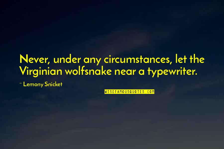 Colclazier Associates Quotes By Lemony Snicket: Never, under any circumstances, let the Virginian wolfsnake