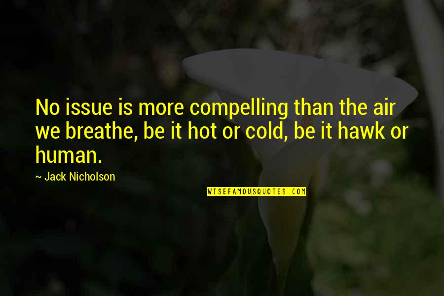 Cold Air Quotes By Jack Nicholson: No issue is more compelling than the air