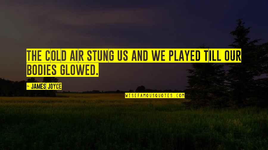Cold Air Quotes By James Joyce: The cold air stung us and we played