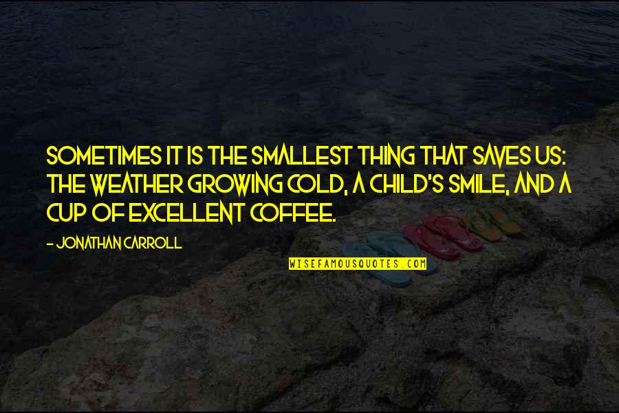 Cold And Coffee Quotes By Jonathan Carroll: Sometimes it is the smallest thing that saves