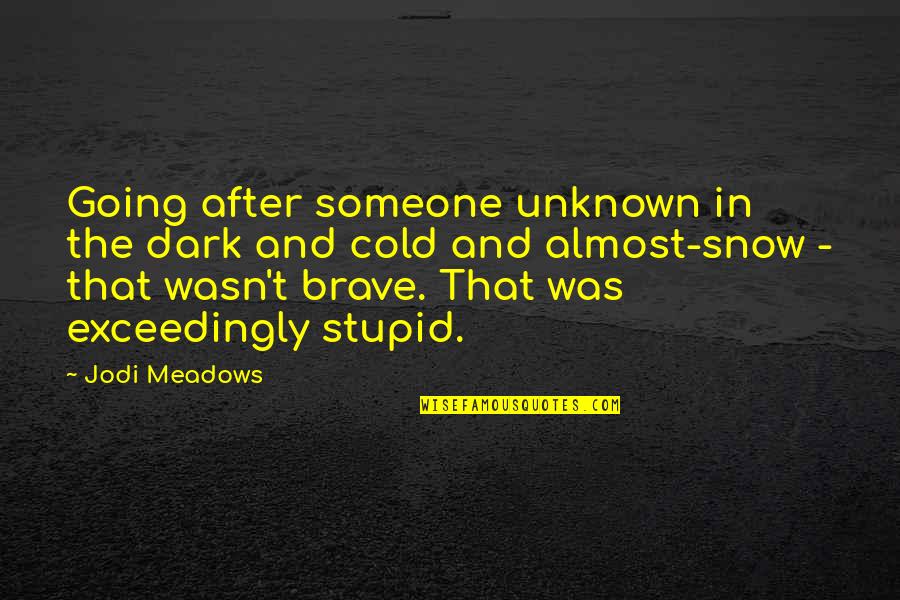 Cold And Dark Quotes By Jodi Meadows: Going after someone unknown in the dark and