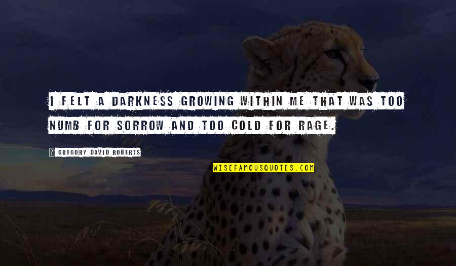 Cold And Quotes By Gregory David Roberts: I felt a darkness growing within me that Cold And Quotes By Gregory David Roberts: I felt a darkness growing within me that
