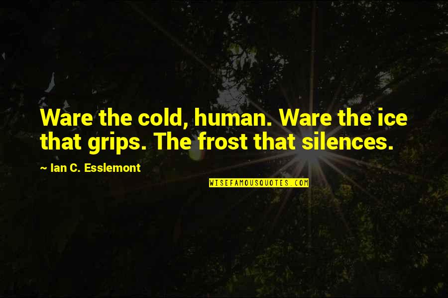 Cold As Ice Quotes By Ian C. Esslemont: Ware the cold, human. Ware the ice that