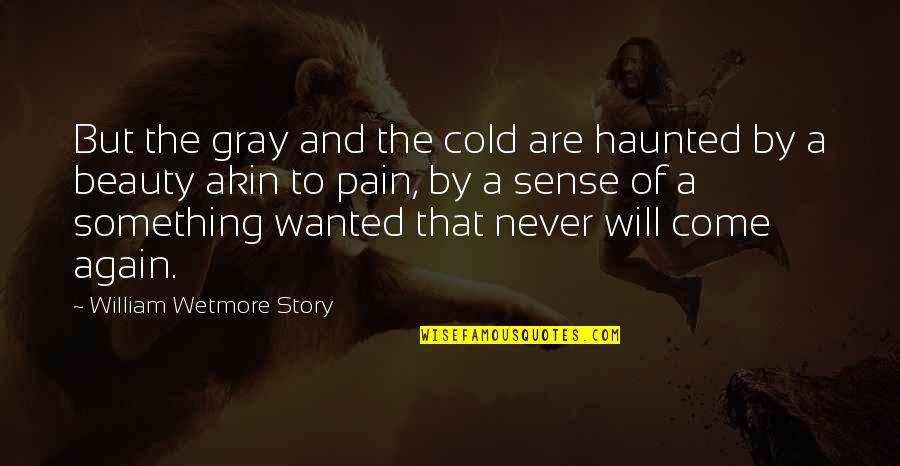 Cold Beauty Quotes By William Wetmore Story: But the gray and the cold are haunted