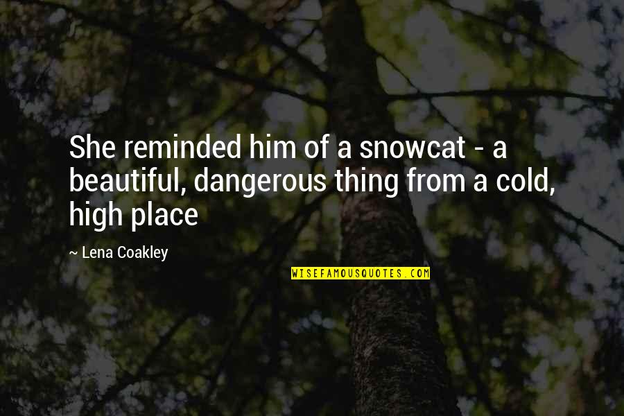 Cold But Beautiful Quotes By Lena Coakley: She reminded him of a snowcat - a