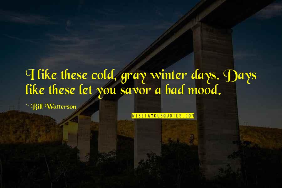 Cold Days Quotes By Bill Watterson: I like these cold, gray winter days. Days