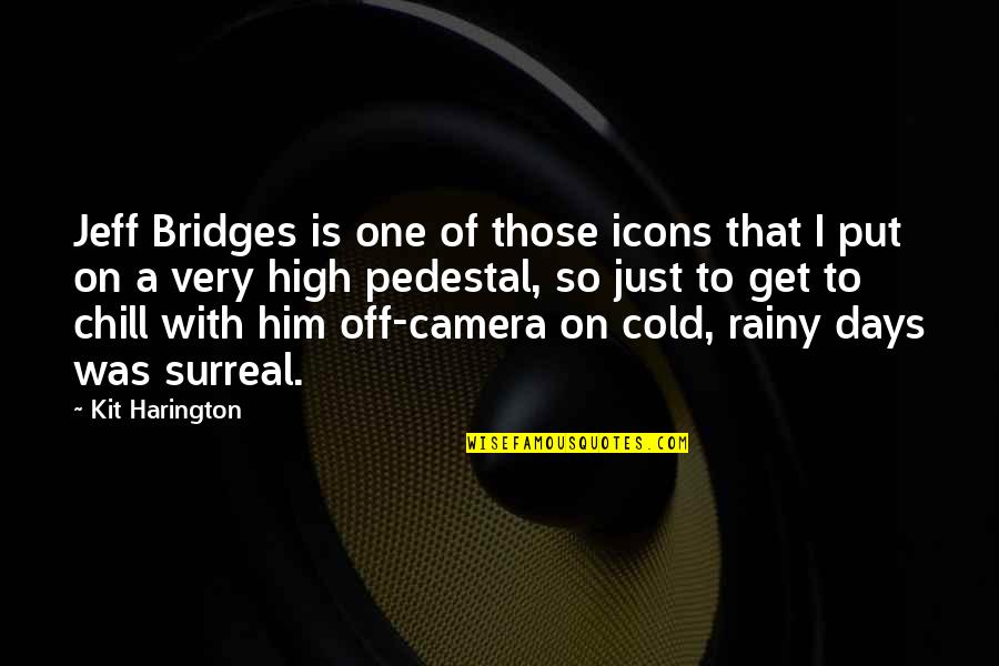 Cold Days Quotes By Kit Harington: Jeff Bridges is one of those icons that