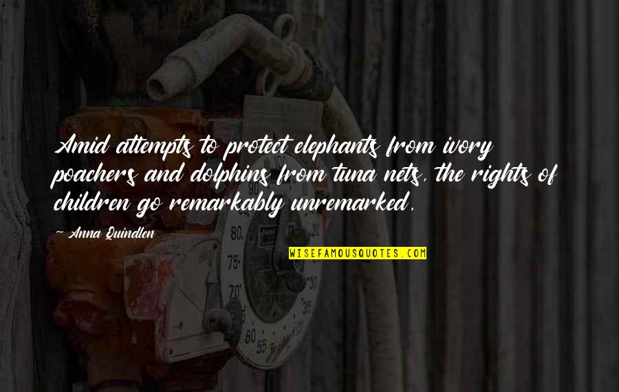 Cold Heartedness Synonyms Quotes By Anna Quindlen: Amid attempts to protect elephants from ivory poachers Cold Heartedness Synonyms Quotes By Anna Quindlen: Amid attempts to protect elephants from ivory poachers
