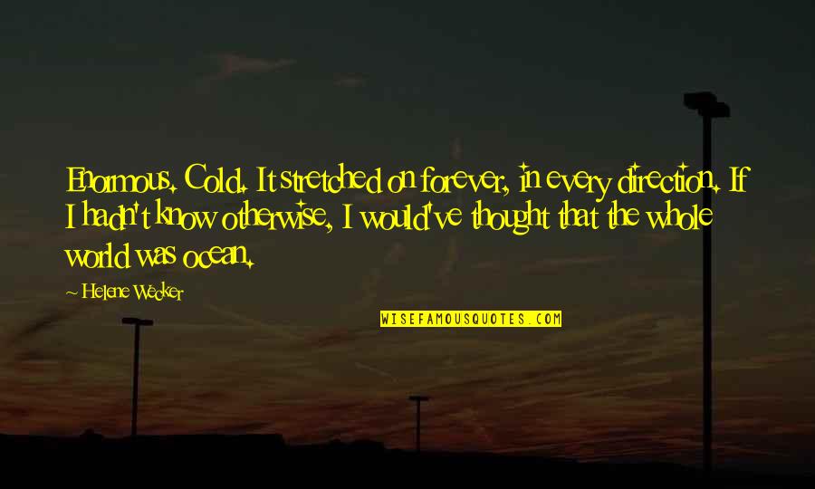 Cold Ocean Quotes By Helene Wecker: Enormous. Cold. It stretched on forever, in every Cold Ocean Quotes By Helene Wecker: Enormous. Cold. It stretched on forever, in every