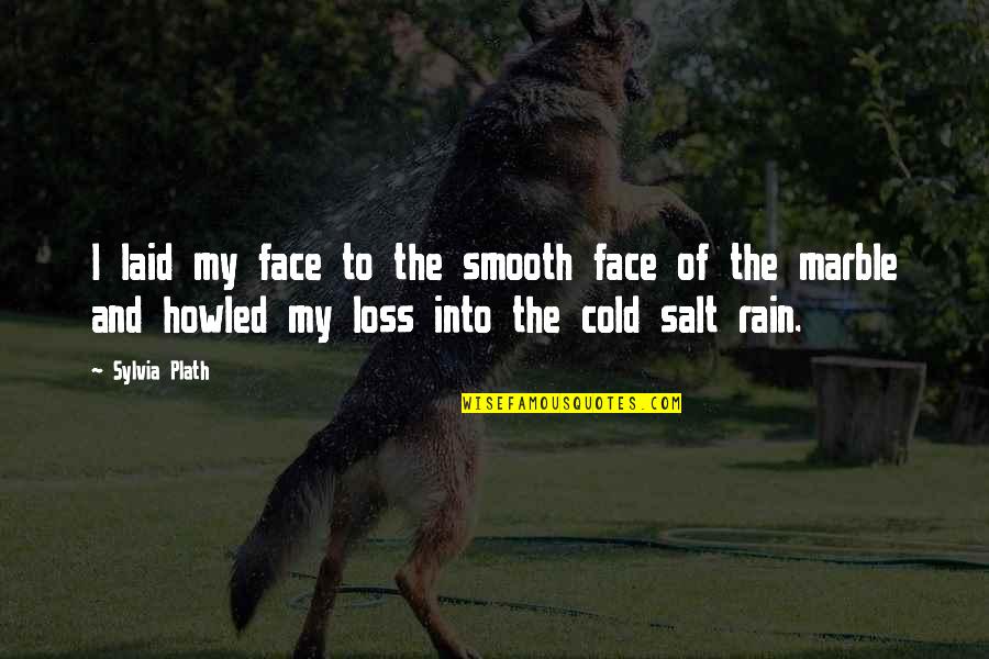 Cold Rain Quotes By Sylvia Plath: I laid my face to the smooth face