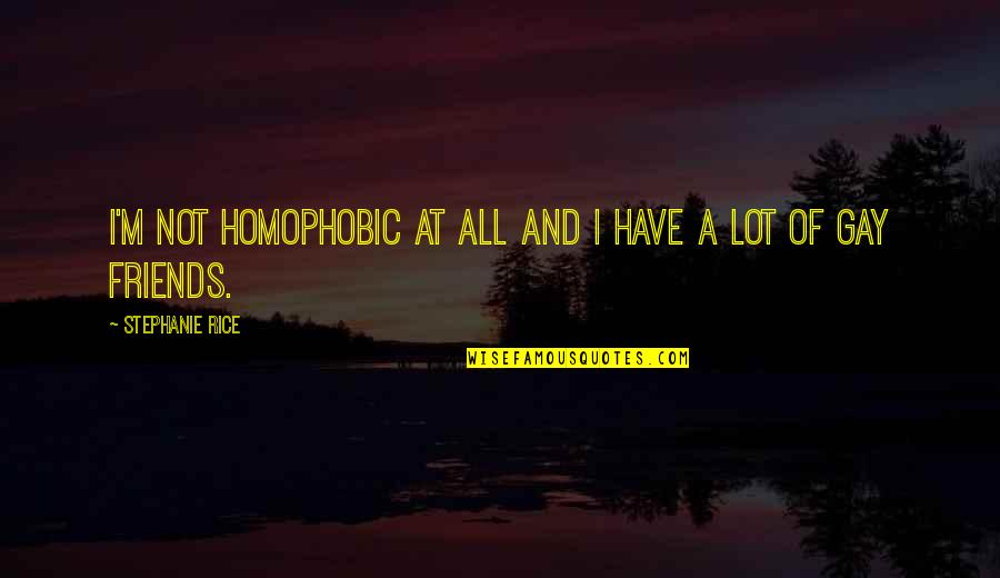 Cold War Famous Quotes By Stephanie Rice: I'm not homophobic at all and I have