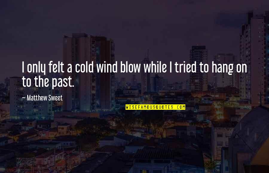 Cold Wind Quotes By Matthew Sweet: I only felt a cold wind blow while