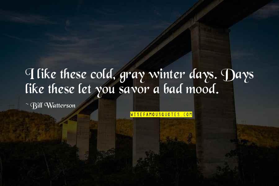 Cold Winter Days Quotes By Bill Watterson: I like these cold, gray winter days. Days