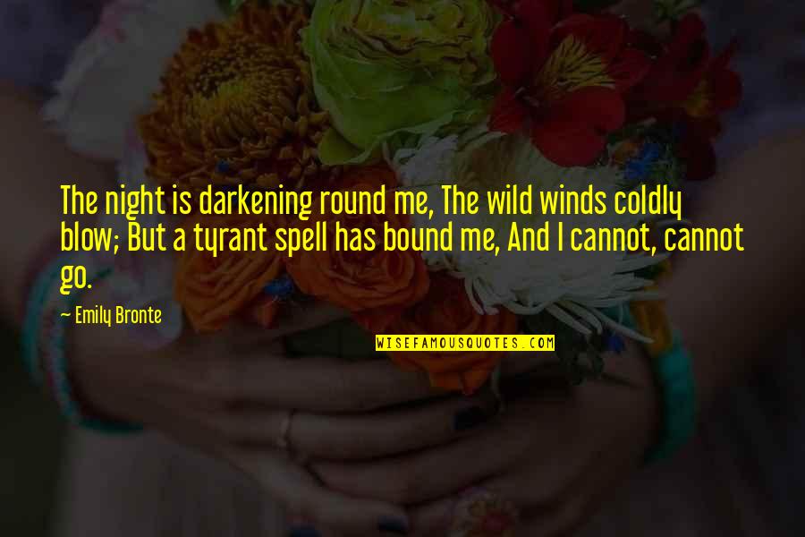 Coldly Quotes By Emily Bronte: The night is darkening round me, The wild