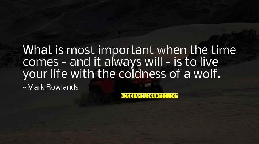 Coldness Of Life Quotes By Mark Rowlands: What is most important when the time comes Coldness Of Life Quotes By Mark Rowlands: What is most important when the time comes