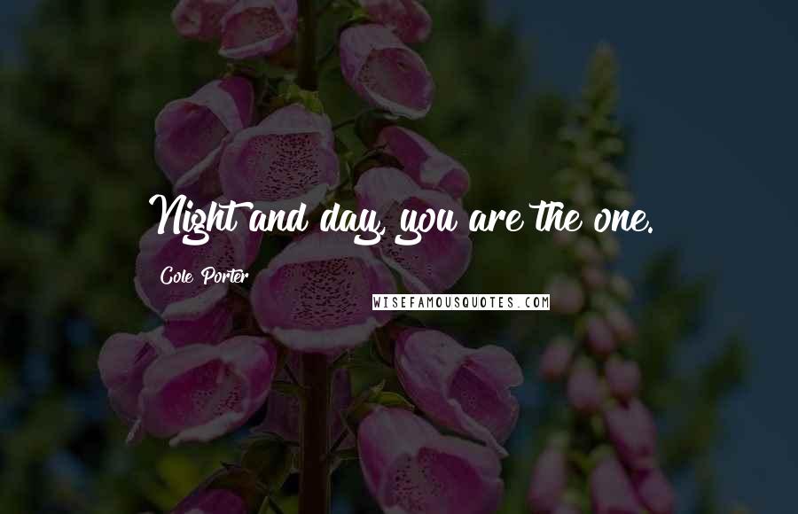Cole Porter quotes: Night and day, you are the one.