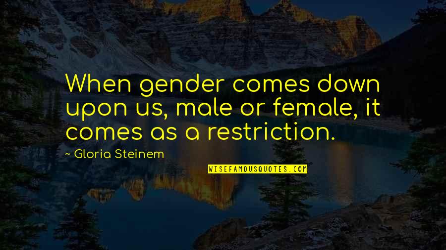 Cole Swindell Love Quotes By Gloria Steinem: When gender comes down upon us, male or