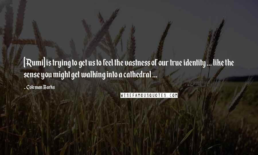 Coleman Barks quotes: [Rumi] is trying to get us to feel the vastness of our true identity ... like the sense you might get walking into a cathedral ...