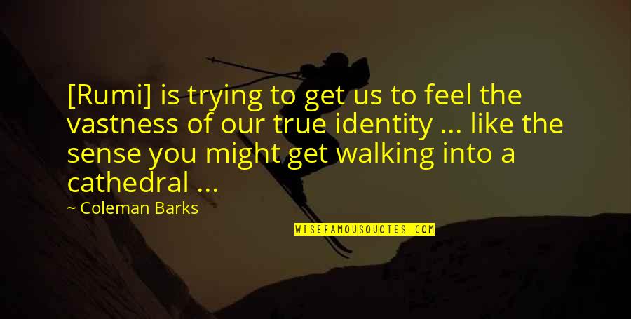 Coleman Barks Quotes By Coleman Barks: [Rumi] is trying to get us to feel
