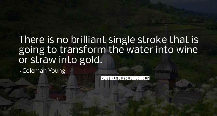 Coleman Young quotes: There is no brilliant single stroke that is going to transform the water into wine or straw into gold.