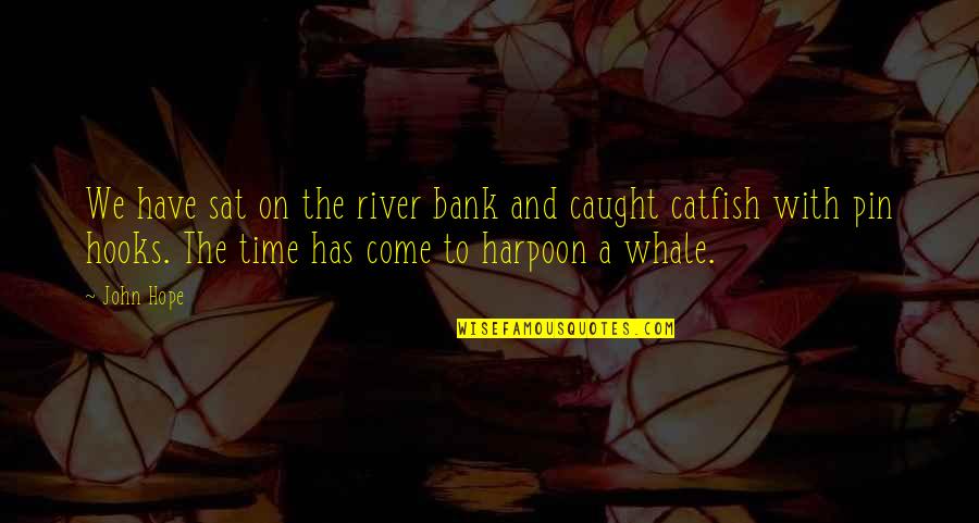 Coleoptera Quotes By John Hope: We have sat on the river bank and Coleoptera Quotes By John Hope: We have sat on the river bank and