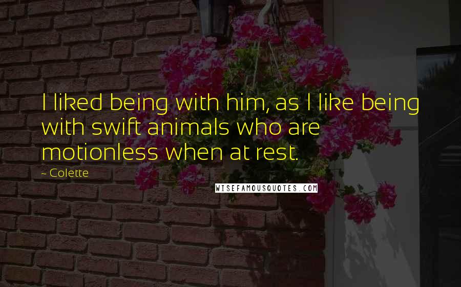 Colette quotes: I liked being with him, as I like being with swift animals who are motionless when at rest.