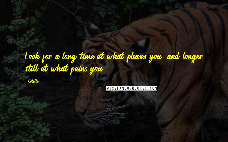 Colette quotes: Look for a long time at what pleases you, and longer still at what pains you ...