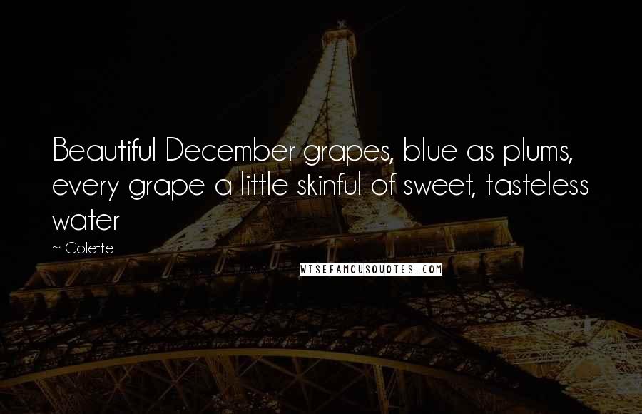 Colette quotes: Beautiful December grapes, blue as plums, every grape a little skinful of sweet, tasteless water