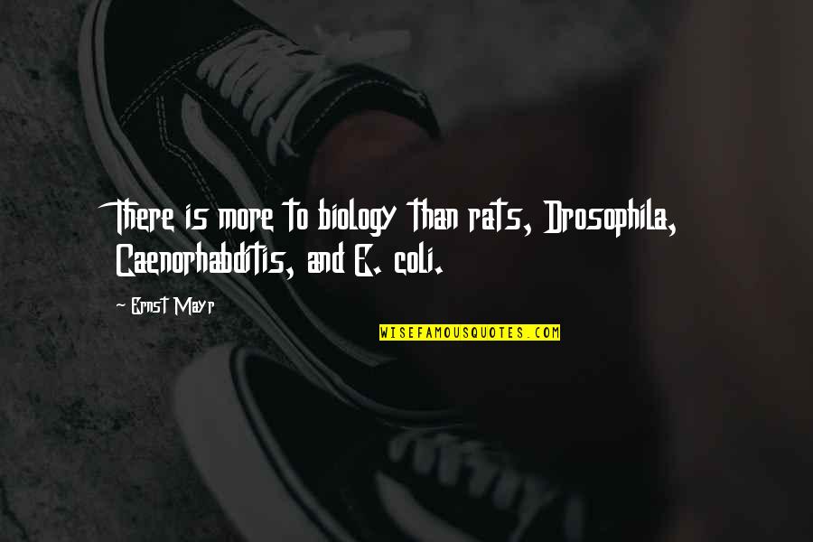 Coli Quotes By Ernst Mayr: There is more to biology than rats, Drosophila,
