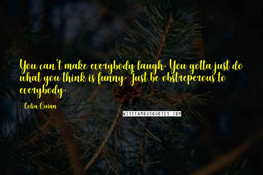 Colin Quinn quotes: You can't make everybody laugh. You gotta just do what you think is funny. Just be obstreperous to everybody.